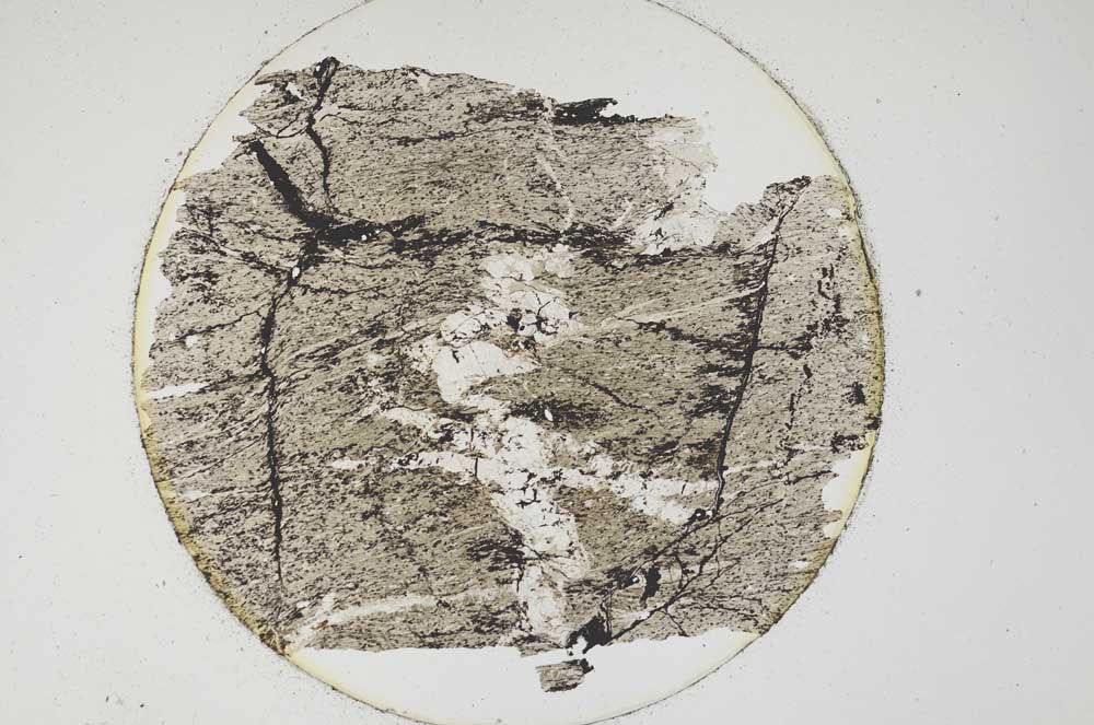 Plane Polarized, S6518