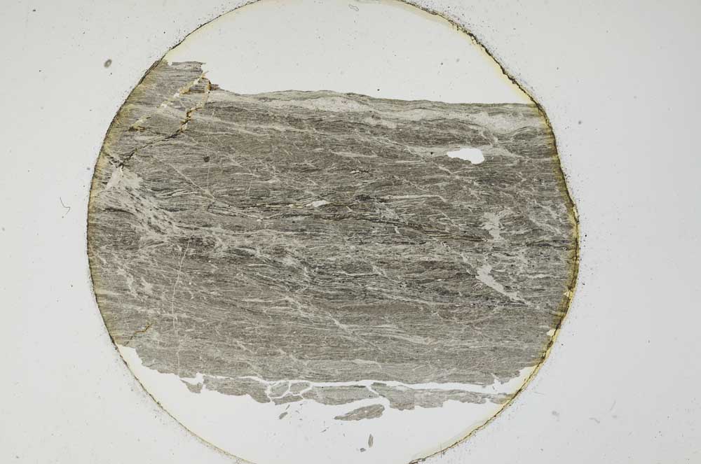 Plane Polarized, S6519