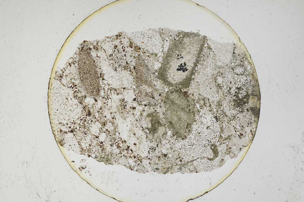 Plane Polarized, S6545