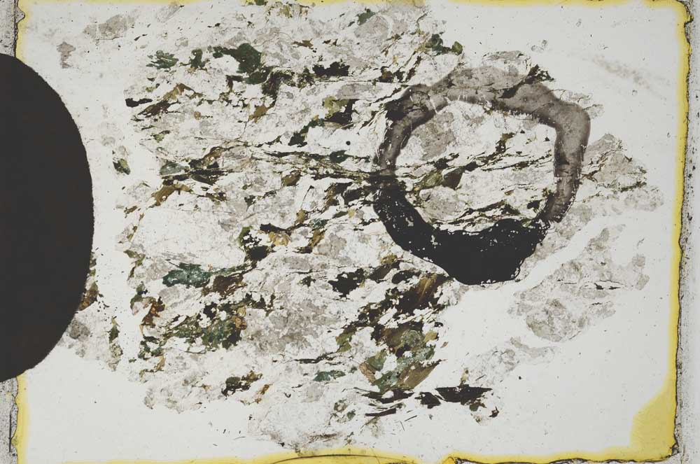Plane Polarized, S6571