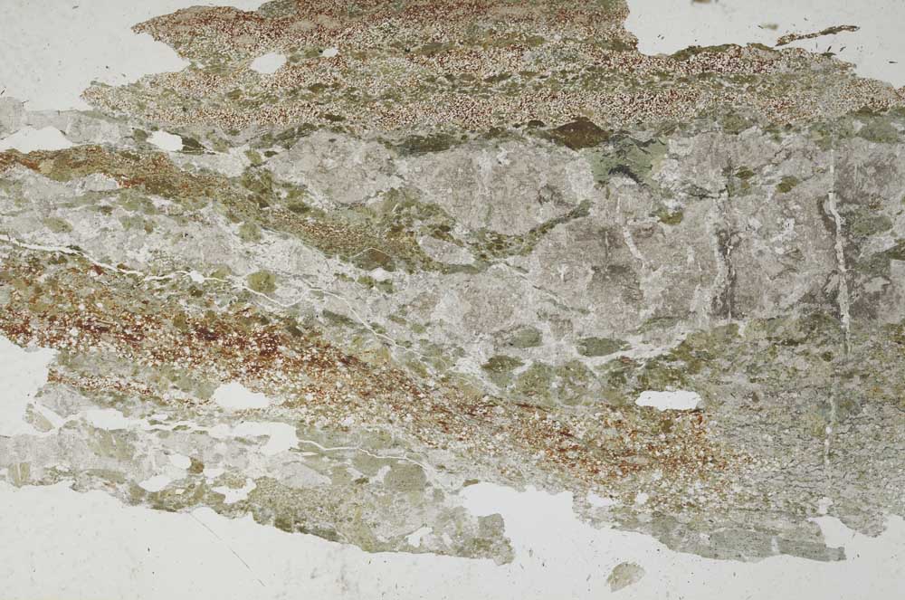 Plane Polarized, S6577