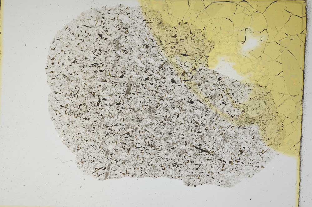 Plane Polarized, S6586