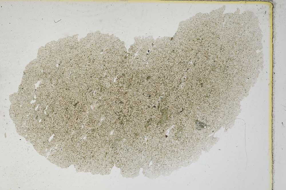 Plane Polarized, S6587