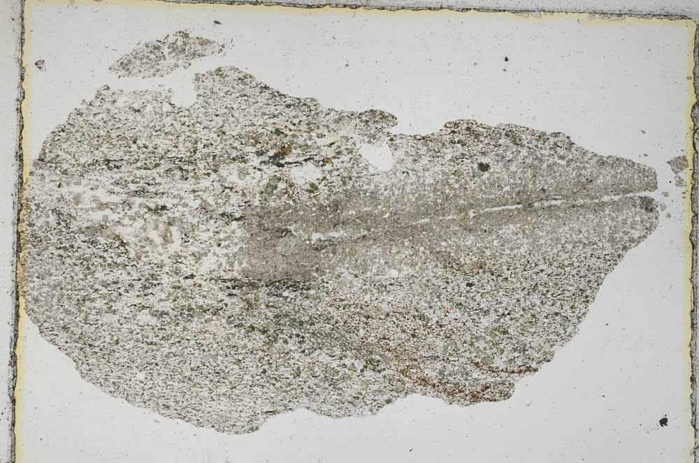 Plane Polarized, S6591