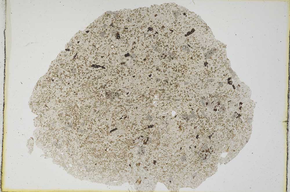 Plane Polarized, S6595