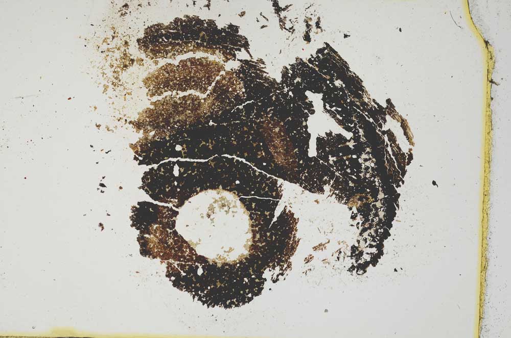 Plane Polarized, S6665