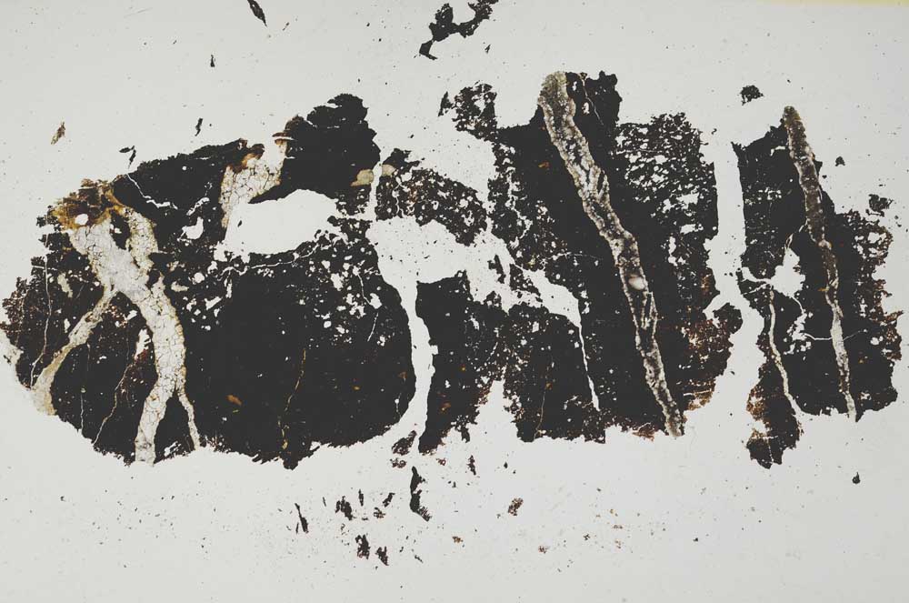 Plane Polarized, S6666