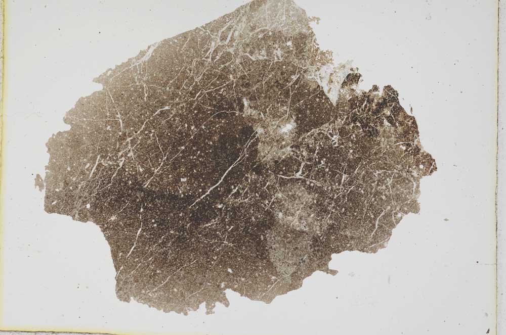 Plane Polarized, S6673