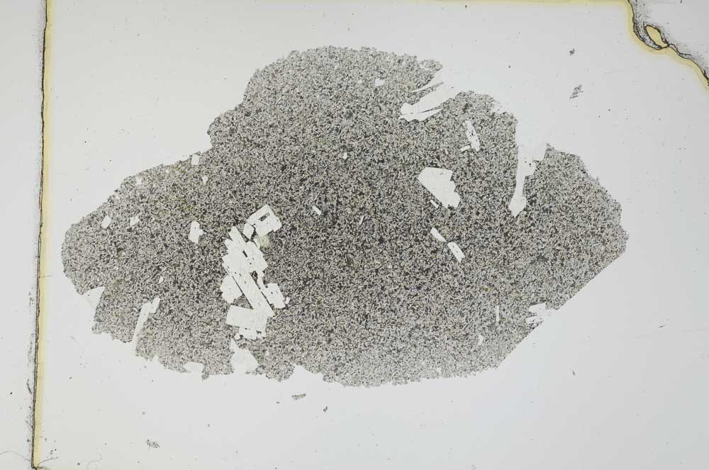 Plane Polarized, S6689