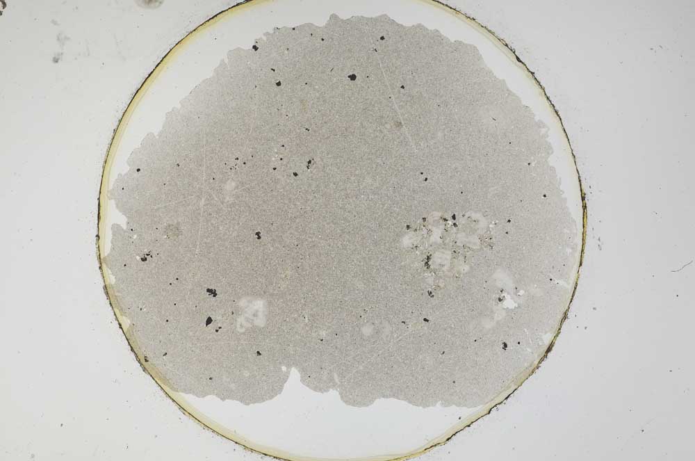 Plane Polarized, S6728