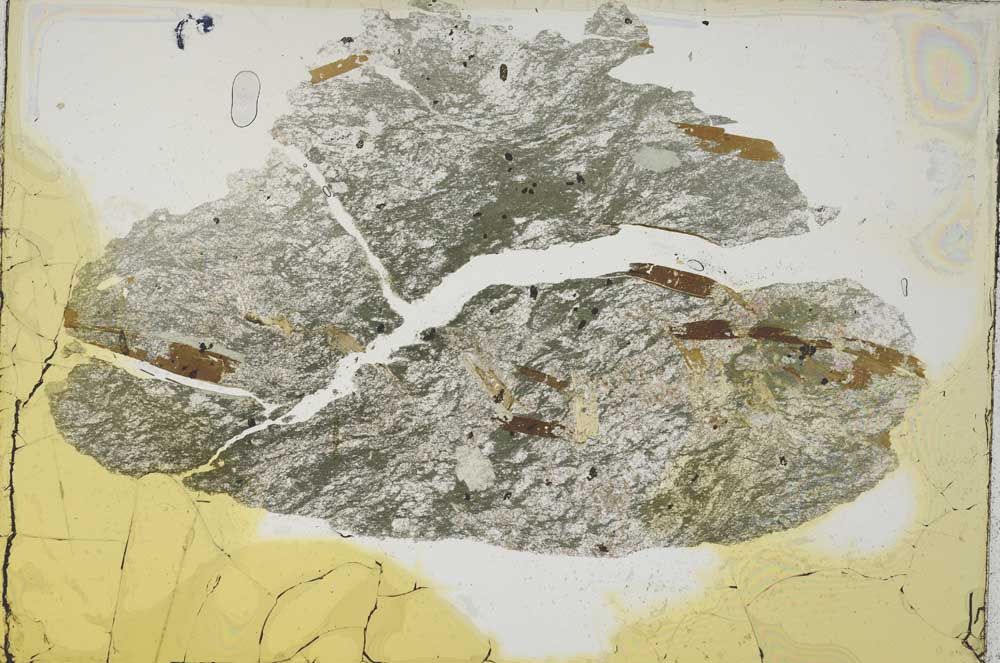 Plane Polarized, S6764