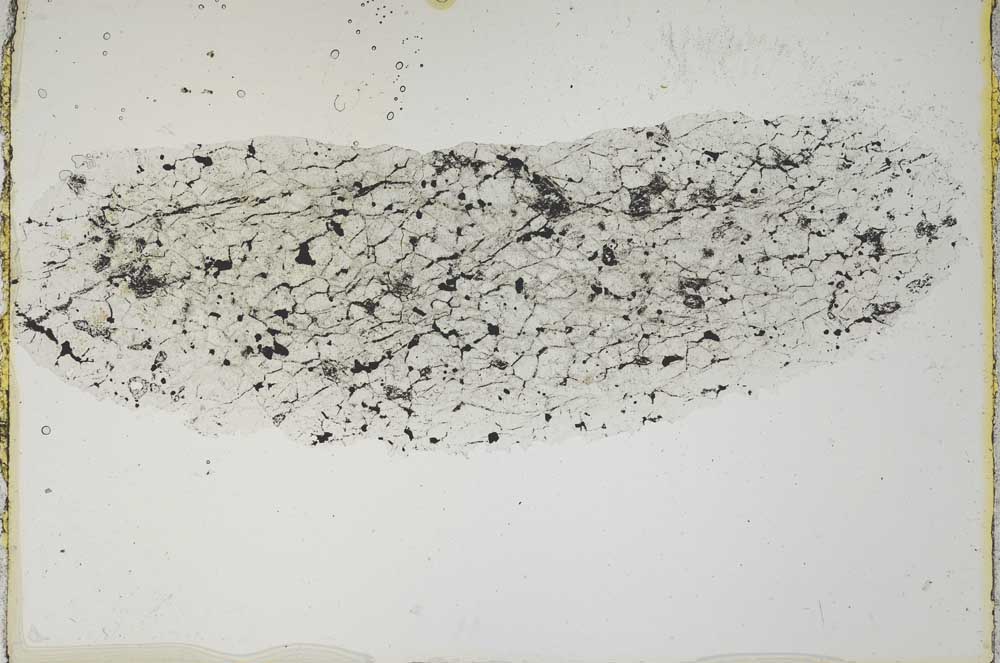 Plane Polarized, S6769