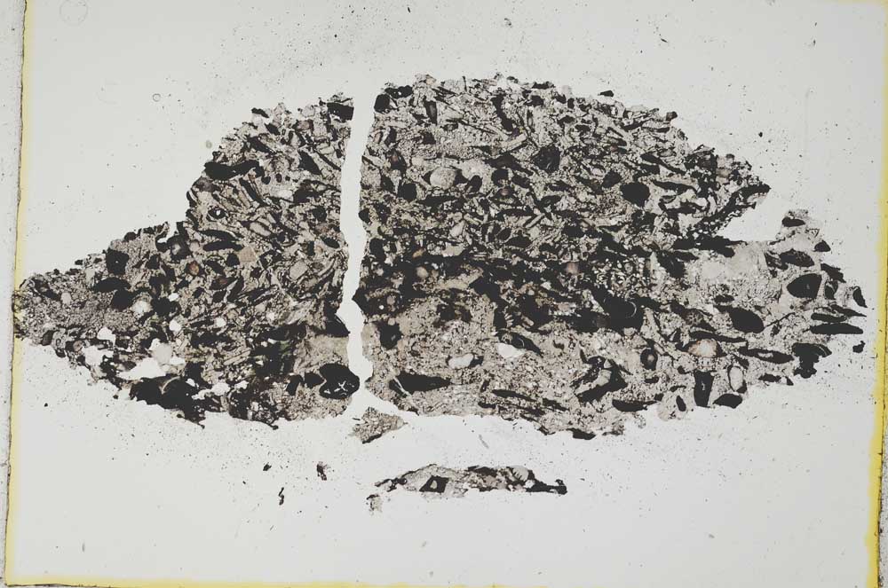 Plane Polarized, S6778