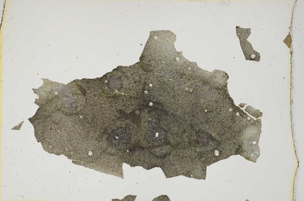 Plane Polarized, S6792
