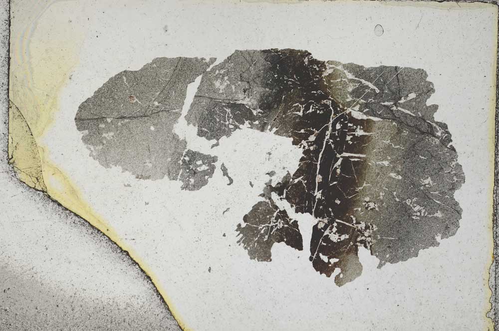Plane Polarized, S6807/a