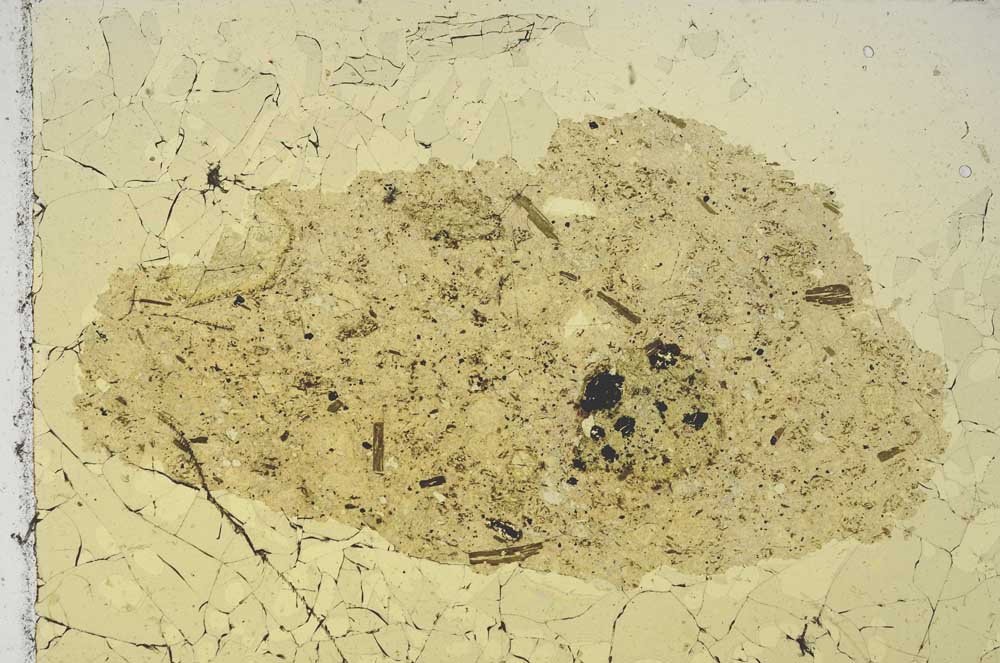 Plane Polarized, S6822