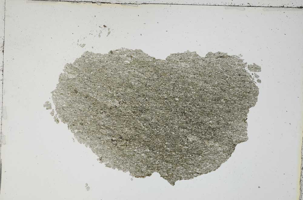 Plane Polarized, S6876