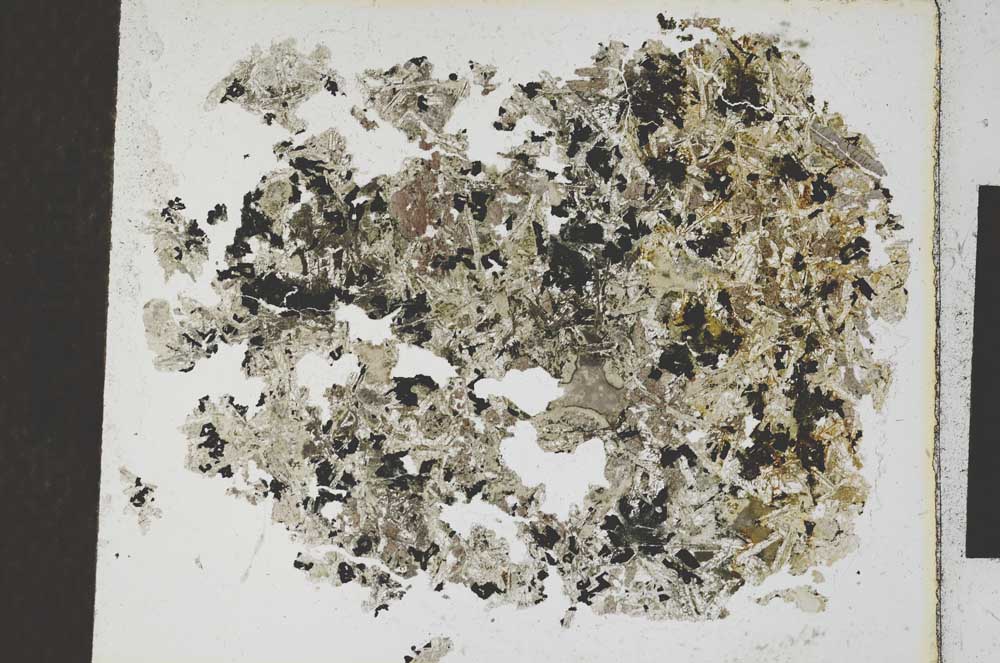 Plane Polarized, S6881