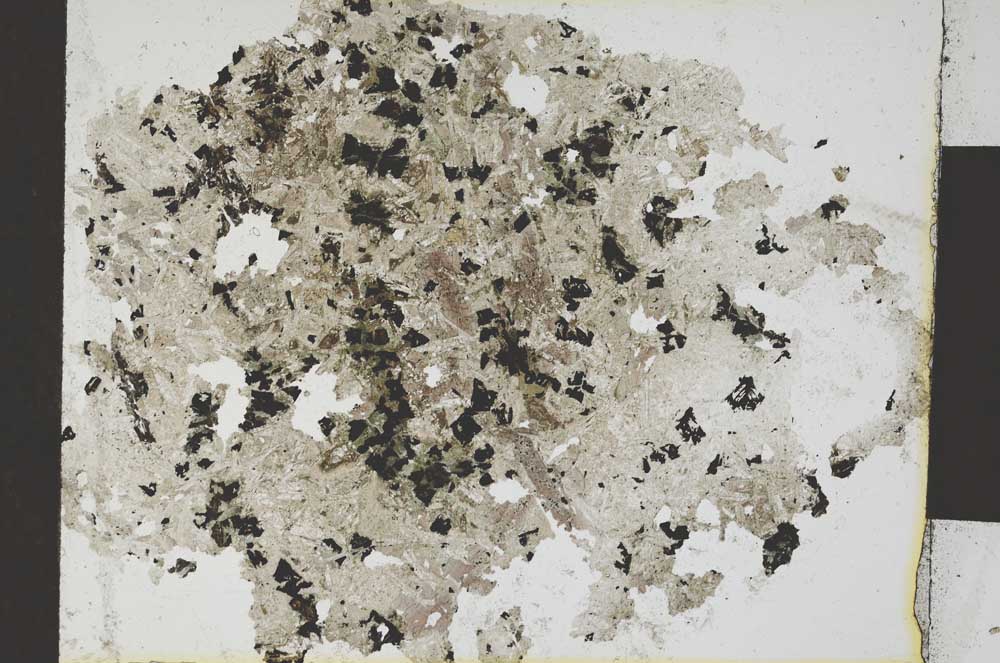 Plane Polarized, S6882