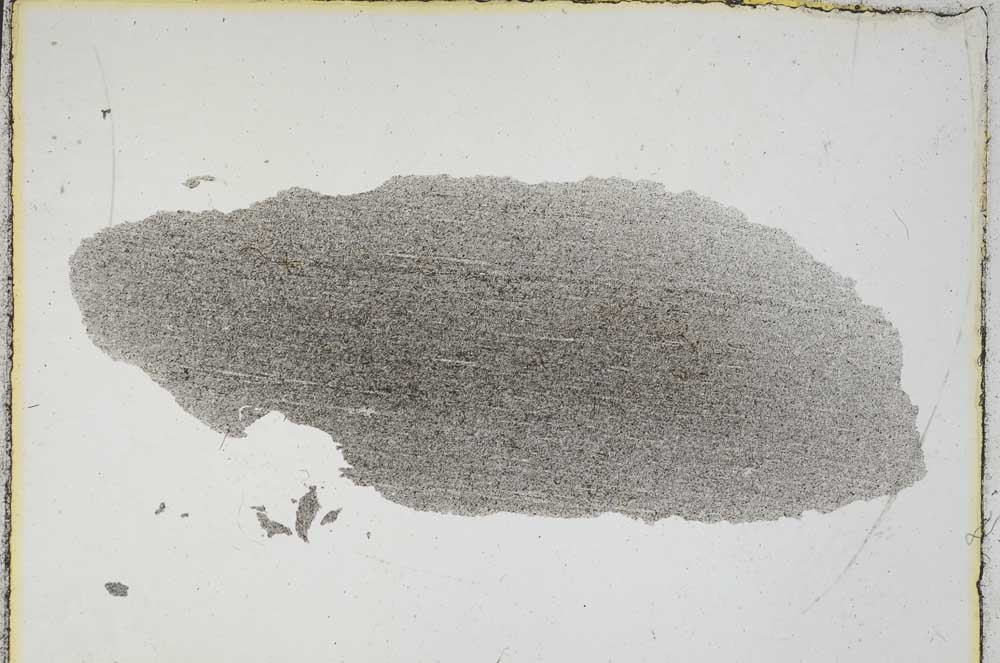 Plane Polarized, S6908