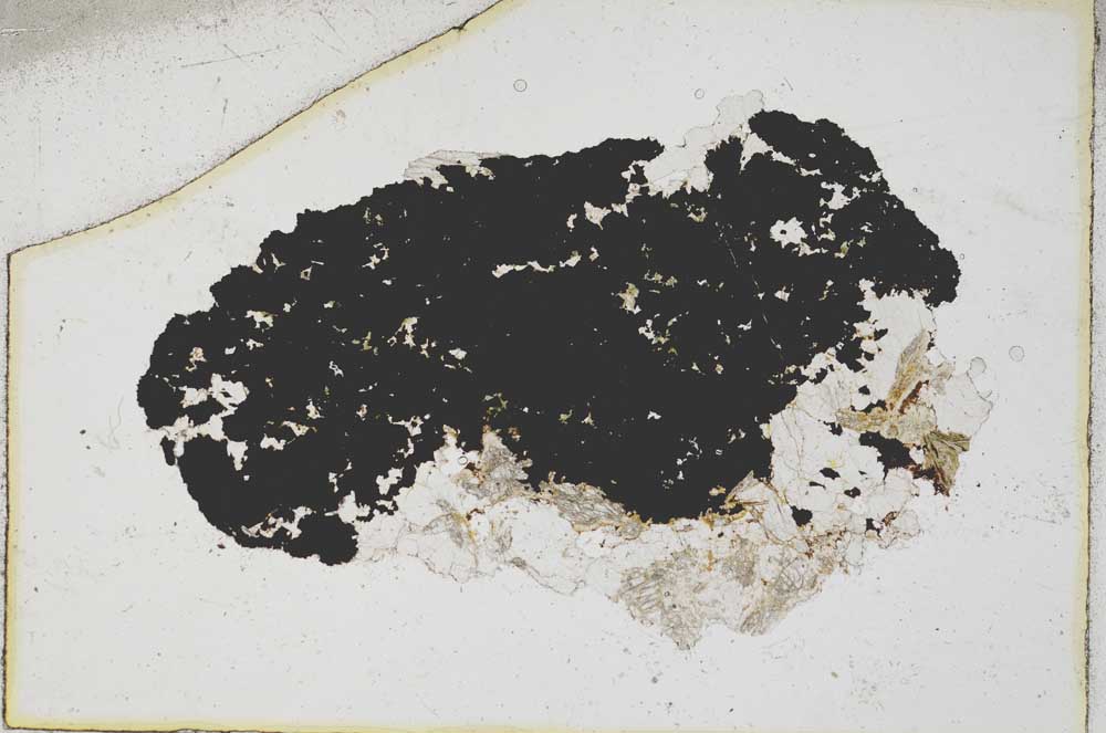 Plane Polarized, S6913