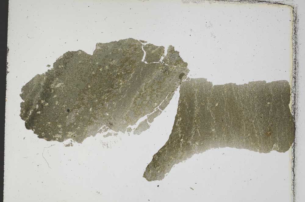 Plane Polarized, S6923