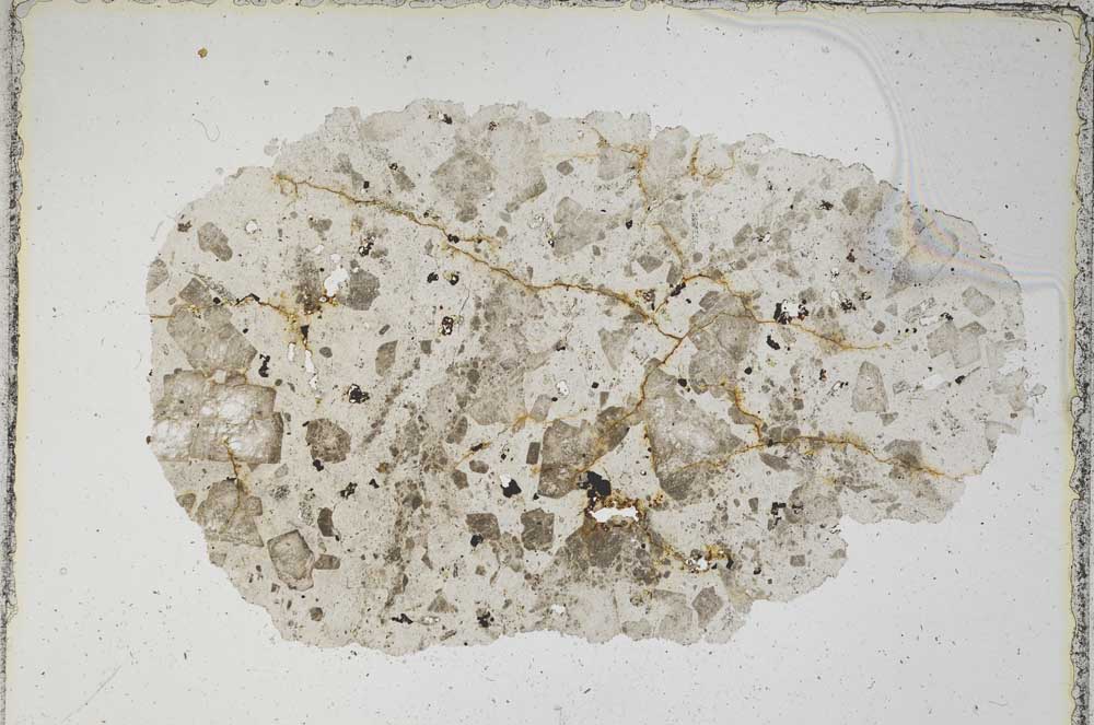 Plane Polarized, S6925