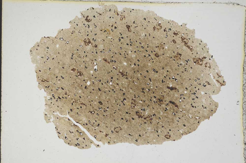 Plane Polarized, S6931