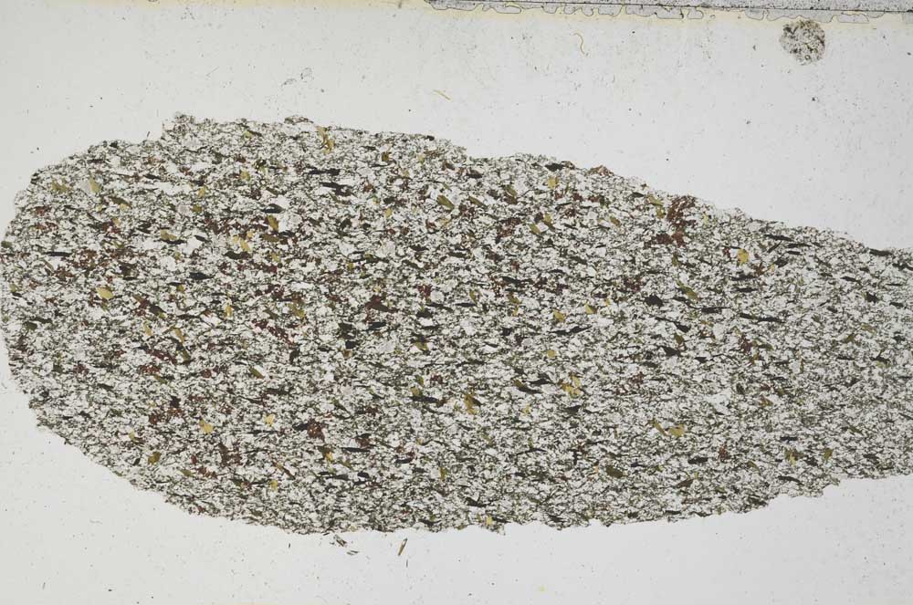 Plane Polarized, S6956