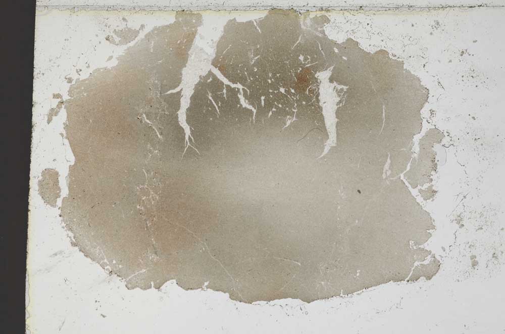 Plane Polarized, S6958