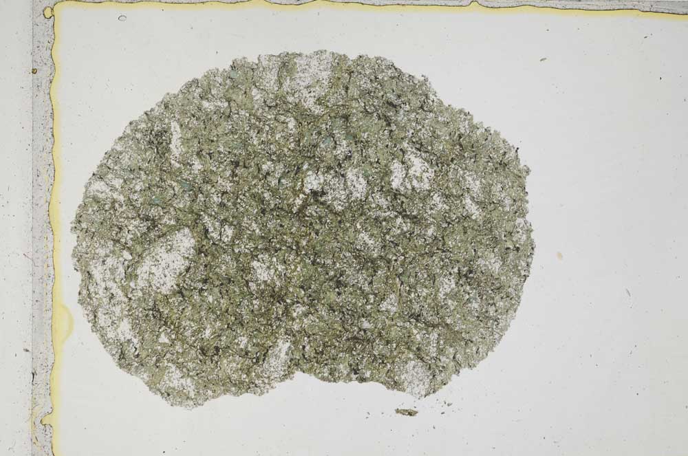 Plane Polarized, S6962