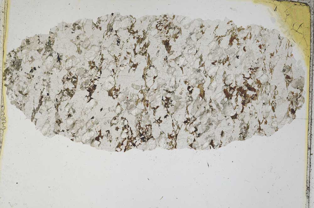 Plane Polarized, S6992