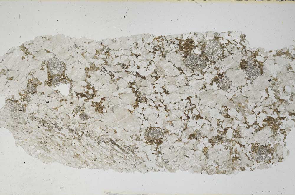 Plane Polarized, S6993