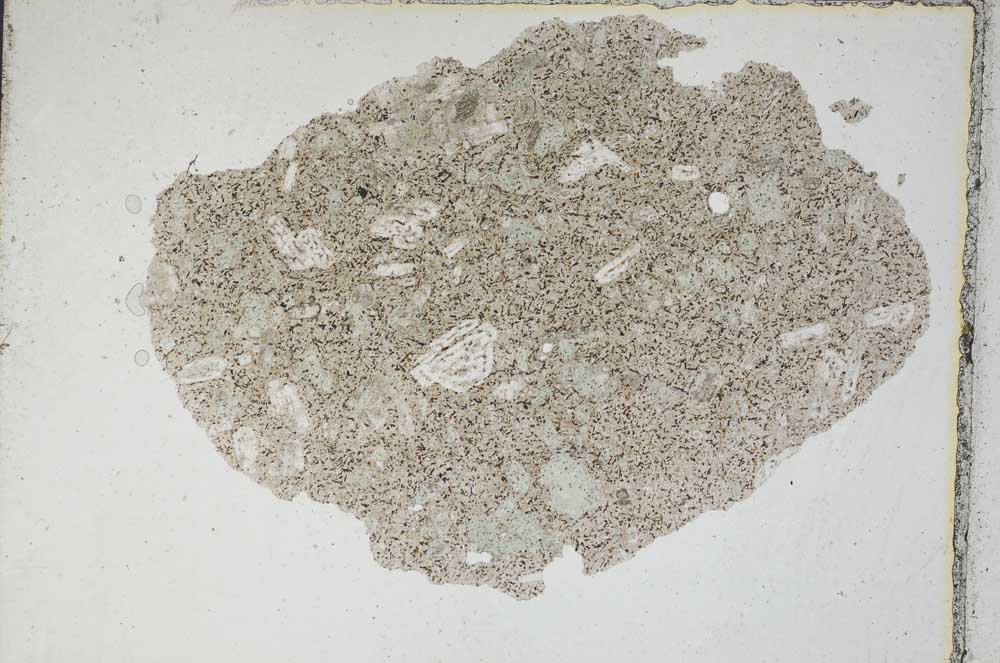 Plane Polarized, S7040