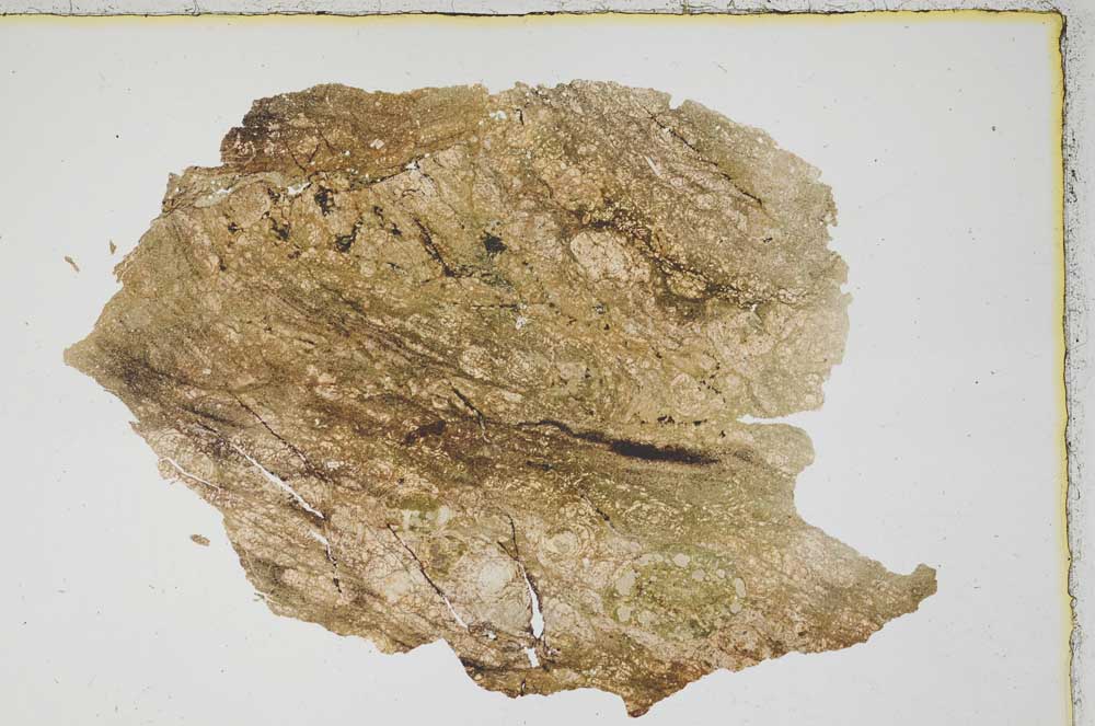 Plane Polarized, S7153