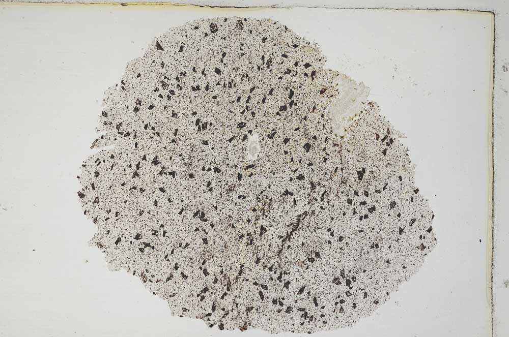 Plane Polarized, S7234