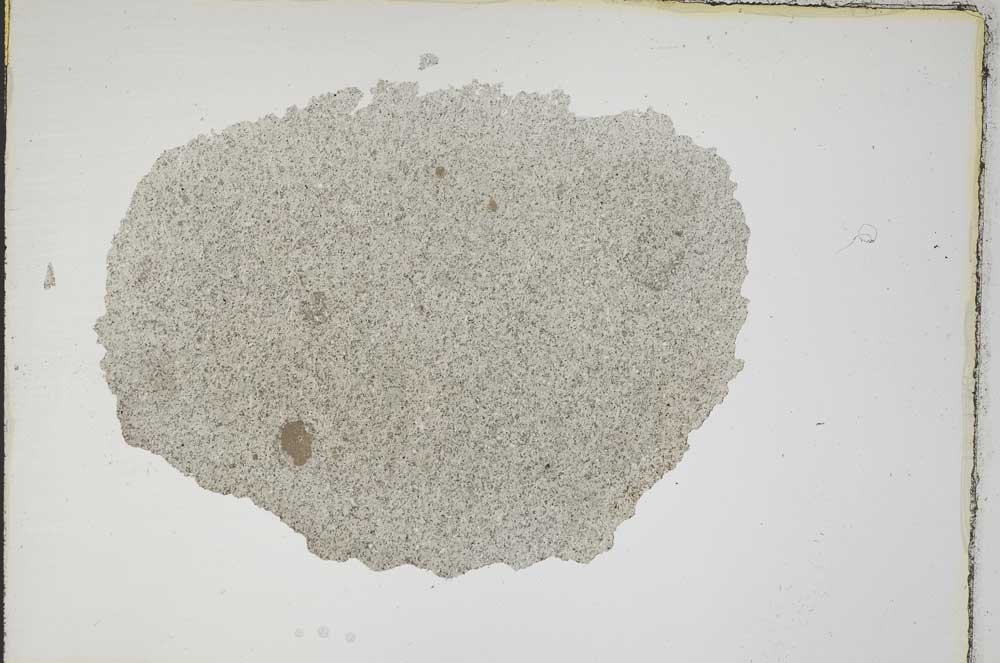 Plane Polarized, S7248