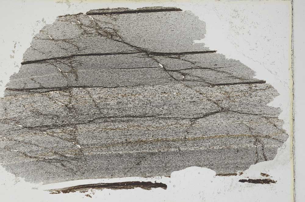 Plane Polarized, S7262