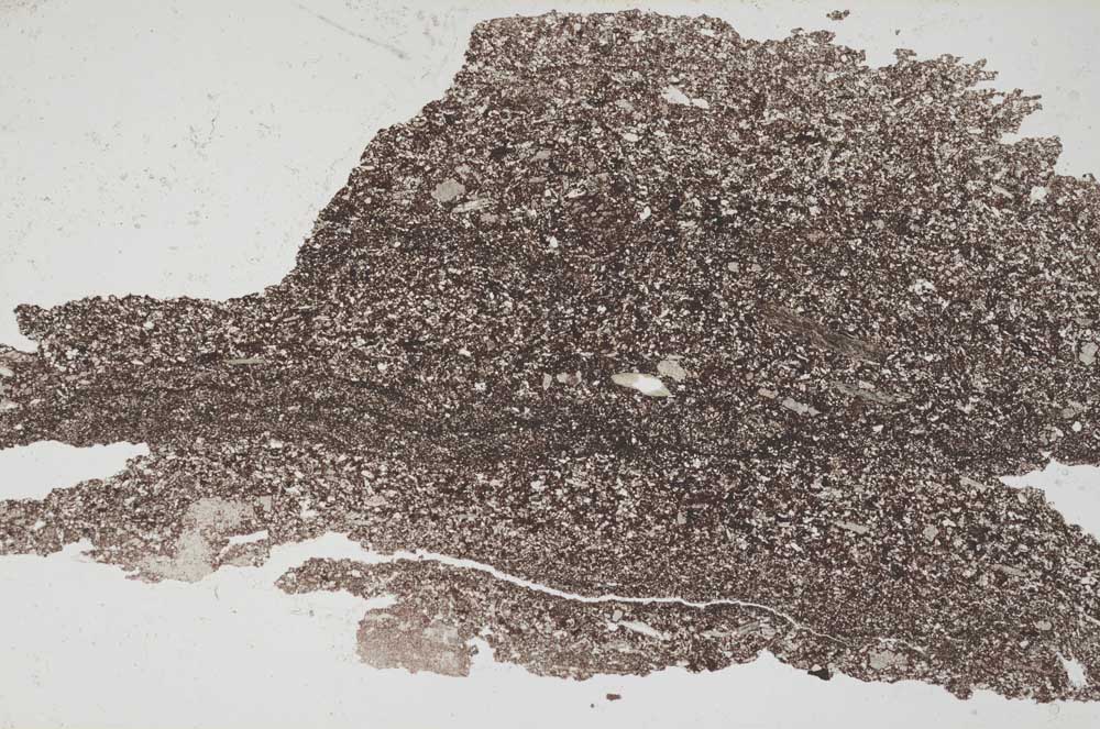 Plane Polarized, S7378