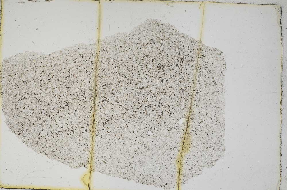 Plane Polarized, S7390