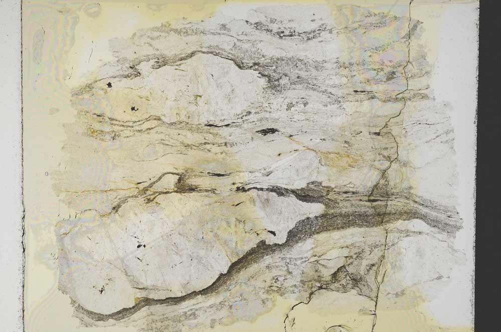 Plane Polarized, S7391/A