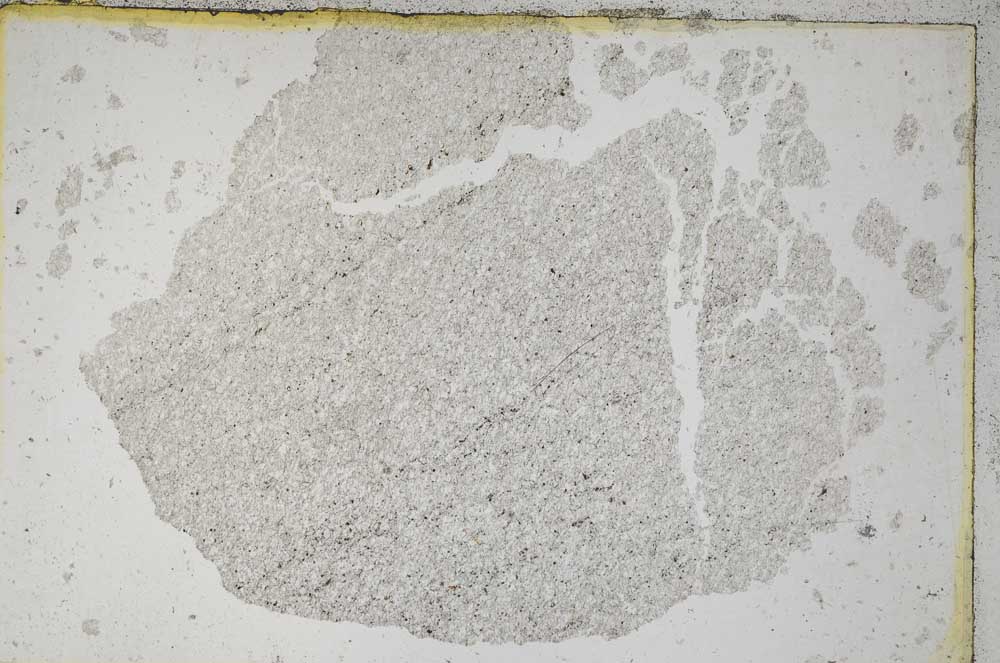 Plane Polarized, S7393