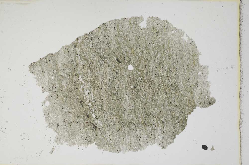 Plane Polarized, S7395