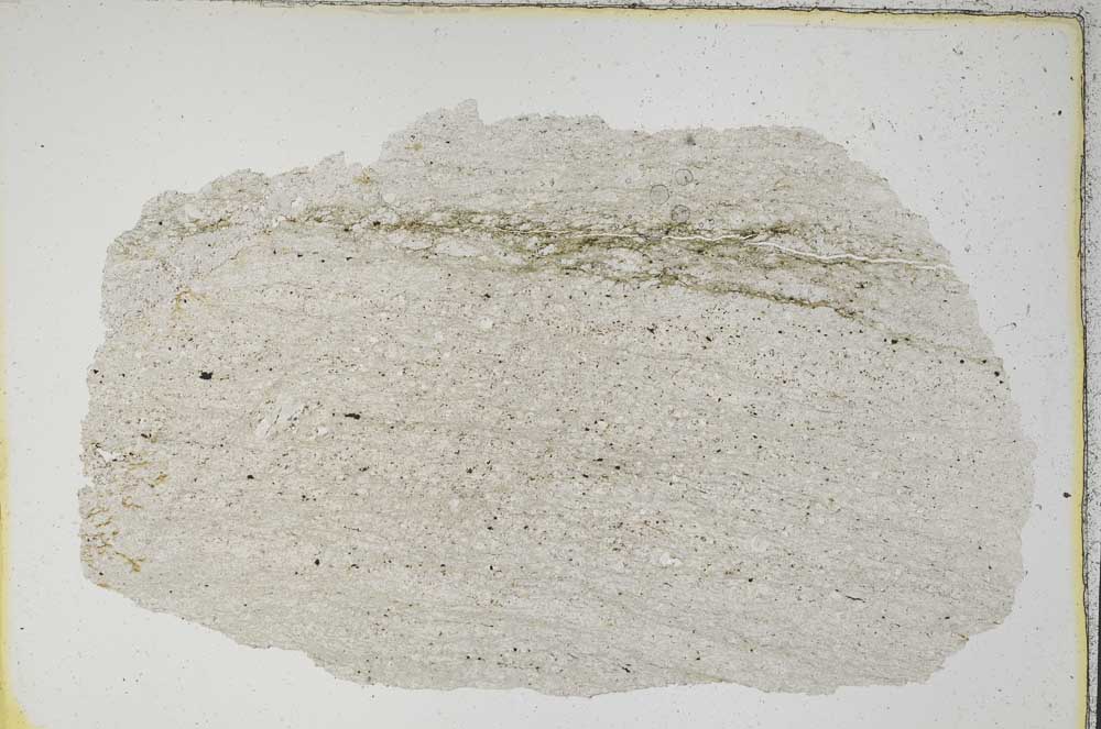 Plane Polarized, S7397