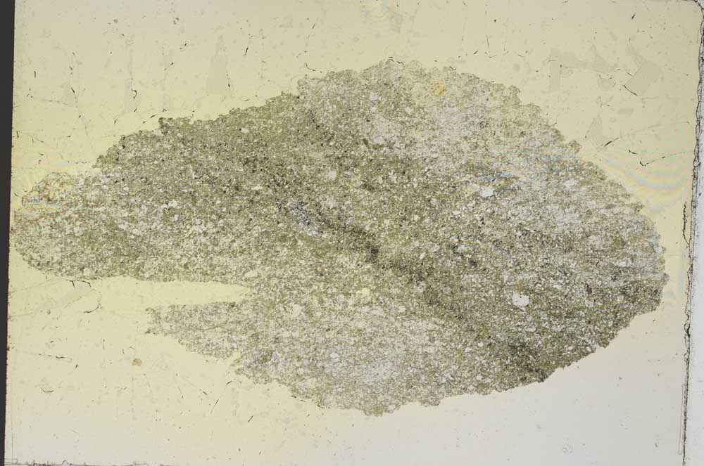 Plane Polarized, S7401