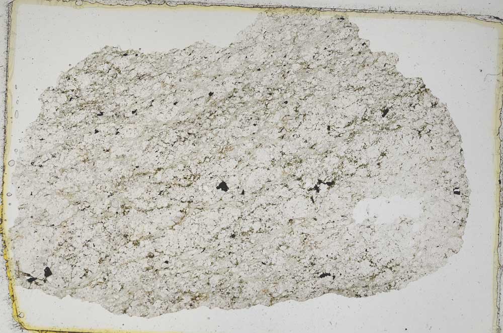 Plane Polarized, S7402