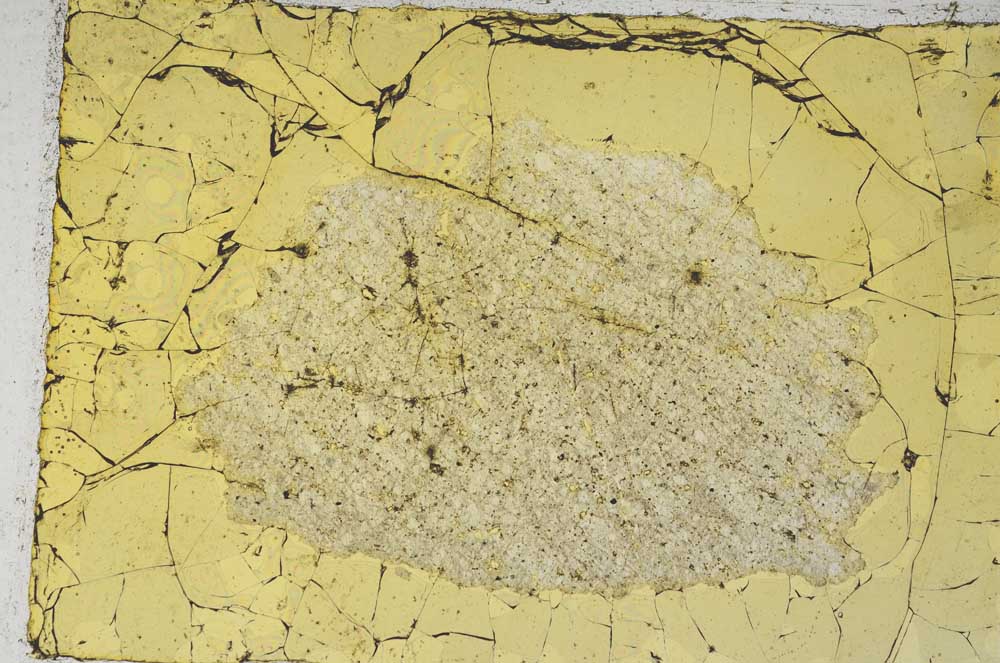 Plane Polarized, S7450