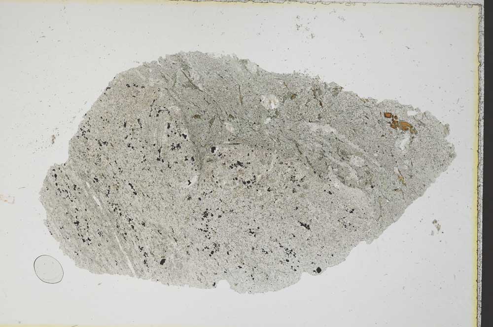 Plane Polarized, S7453