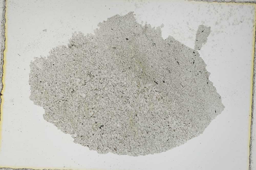 Plane Polarized, S7454