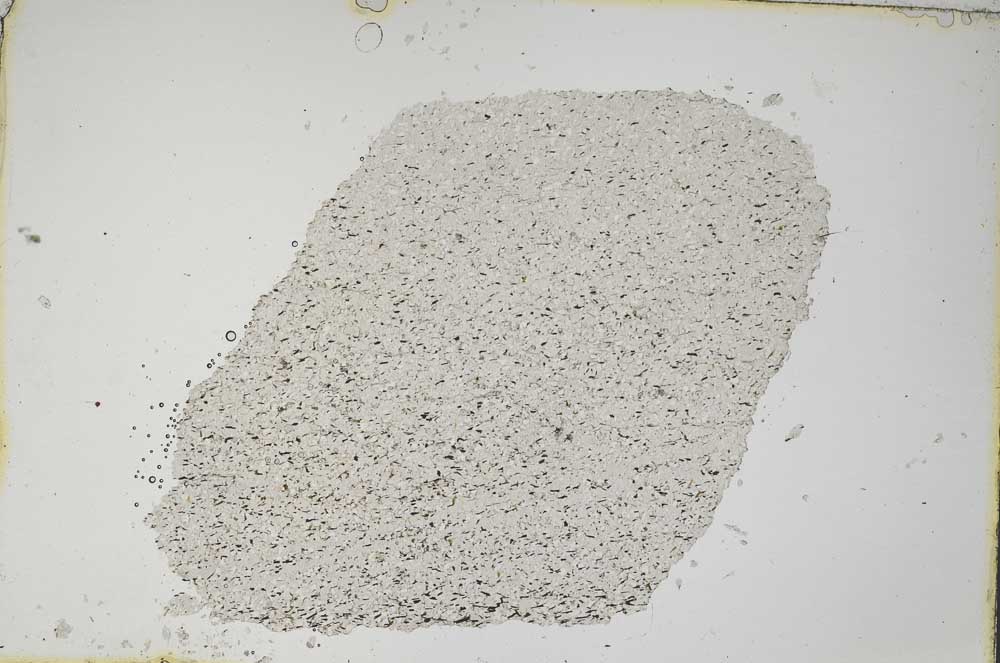 Plane Polarized, S7518